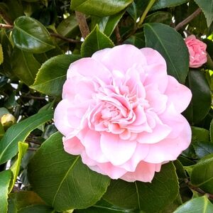 Meet your Posher, Marta